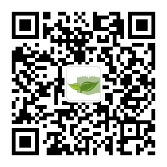 254CF25C3218D4A38D32C171C7C_CFC3787A_6018 254CF25C3218D4A38D32C171C7C_CFC3787A_6018