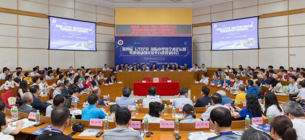 886A2708F5B5CDF7601049419ED_15F568D8_166D3.jpg?e=