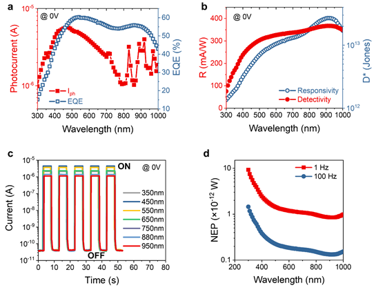 FE647CAD3166AE7019B5A067BA4_A8930A8F_1A50C