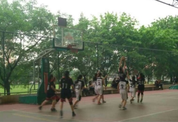 Ҽ������app����(�й�)�ٷ�������