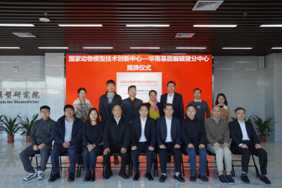 8AFE0C490E529B41DE2903F2381_CE067837_187F3