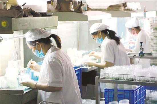 CDCBA135872606A1B5375D141DB_4679F953_282F8.jpg?e=