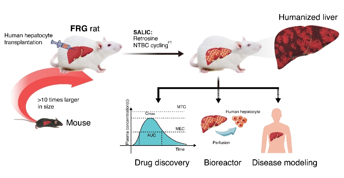 27577464EEEDDBDE9B82C1DDDAE_DB62FD2B_3028B
