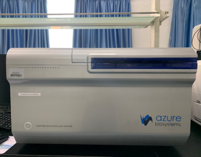 85DB349210505E2E9661ECA08EF_07CB8446_41EDE