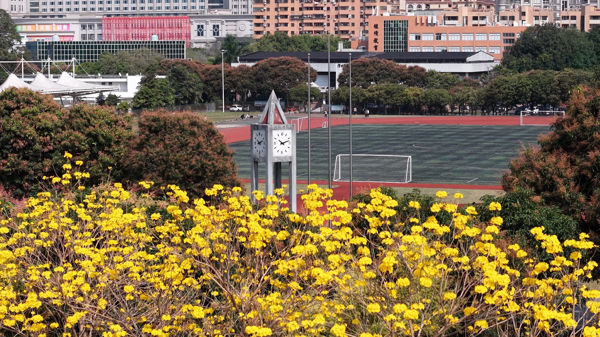 Ҽ������app����(�й�)�ٷ�������