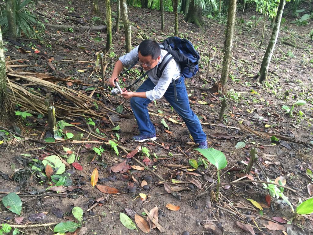 4F33E5F901DAC656946F1B53BD5_67B425FF_3ECCC