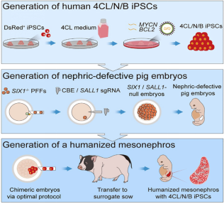 034B73CAFD2A1E6358721FE98DF_9F3B4523_58CCF
