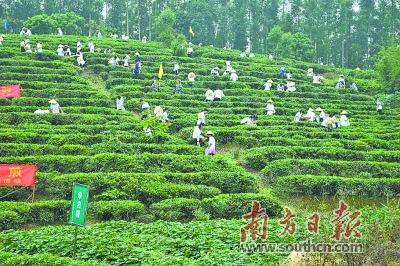 3CBC7A4418105100895CD1D0477_DFAAD6BE_28719 3CBC7A4418105100895CD1D0477_DFAAD6BE_28719