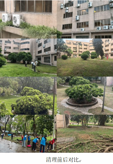 43C4267D19A19195292A2D17128_9B51C30A_24BE3