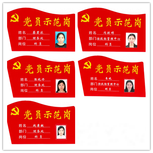 C2347B52436F3D3BB5396B28CA9_AA97B864_405E1