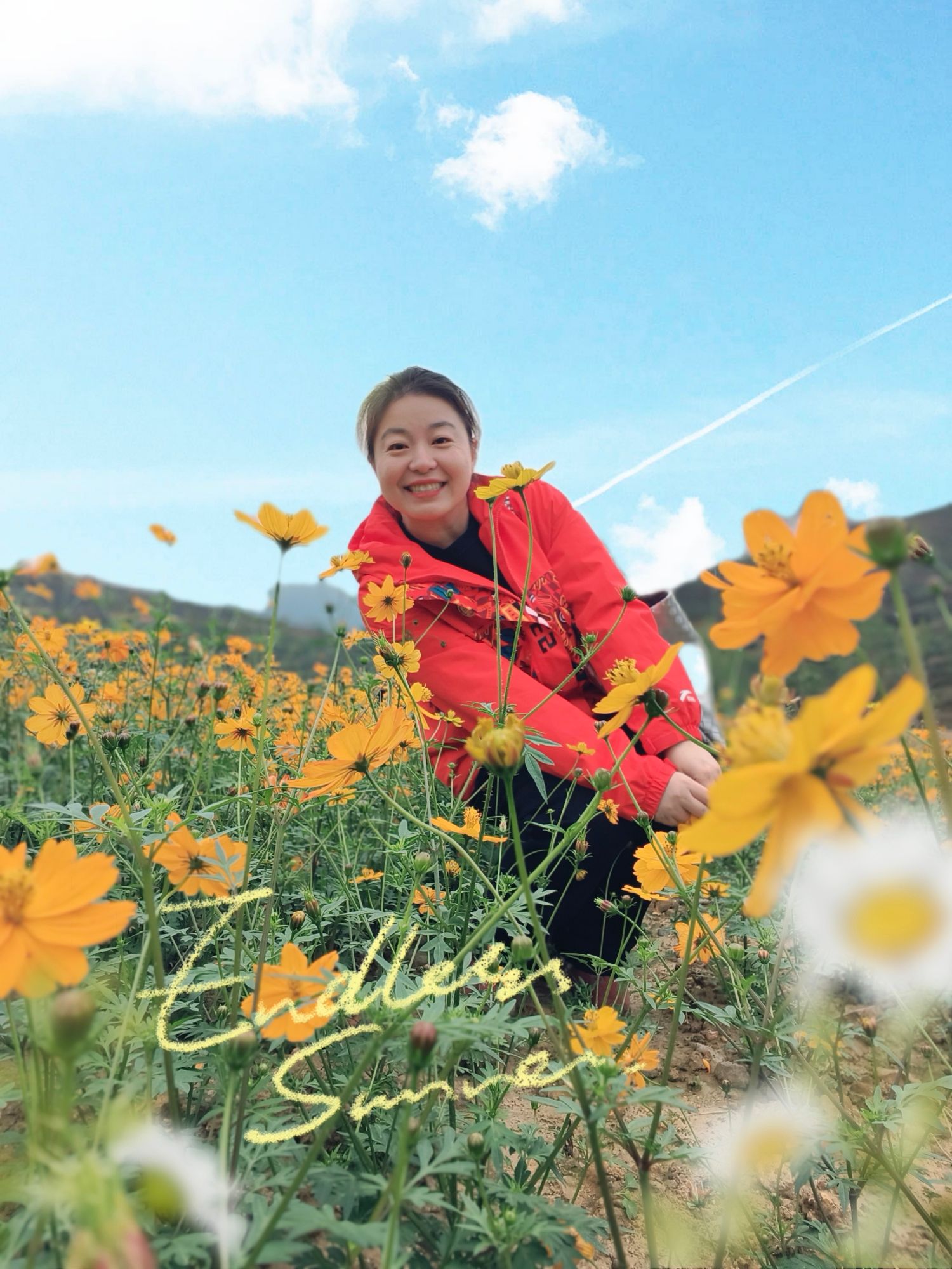 D1A8EB5C52E3D4D4F4BCEB80981_6516097F_5BDD5