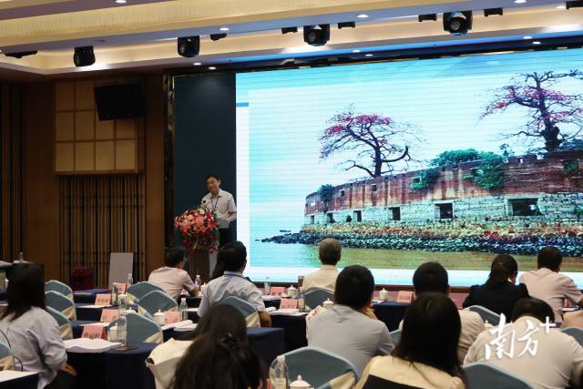 ����ʦ����ѧ�����Ļ��о��������������������������Ϸ�+ ����� ����