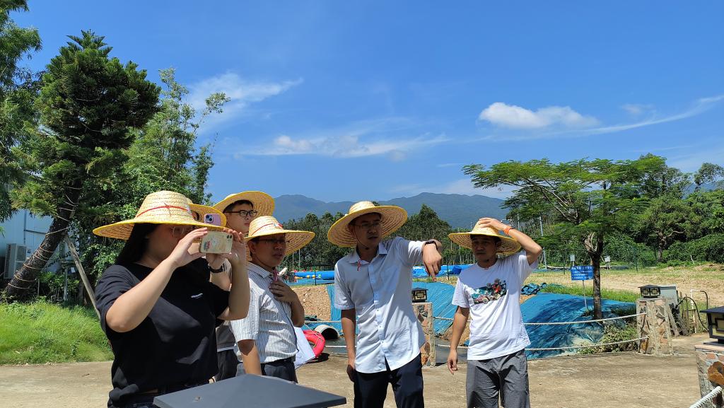 C560B1BD74548514040DF3271FD_0455C038_1E31C