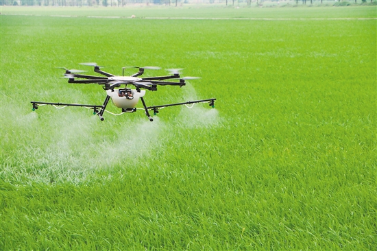 D2E8CF754A16C8F3FFDFEE71671_7AE22966_32C08.jpg?e=