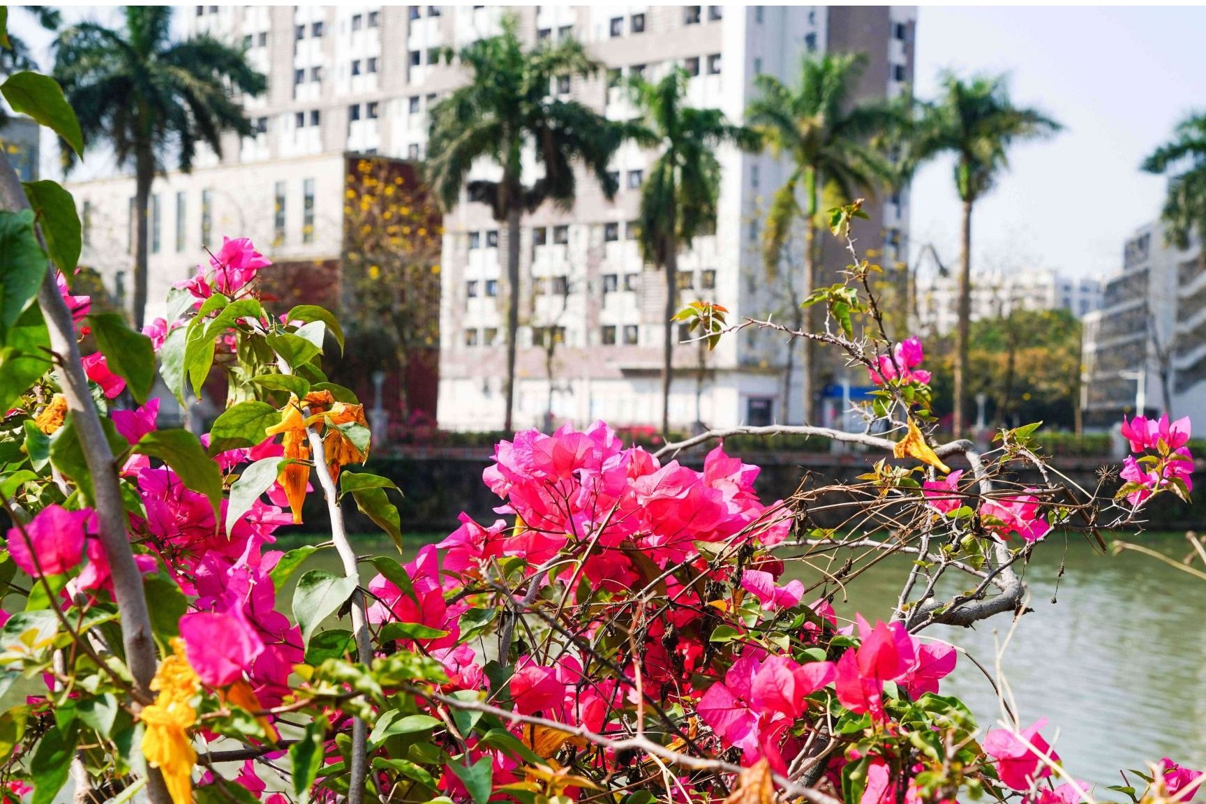 Ҽ������app����(�й�)�ٷ�������