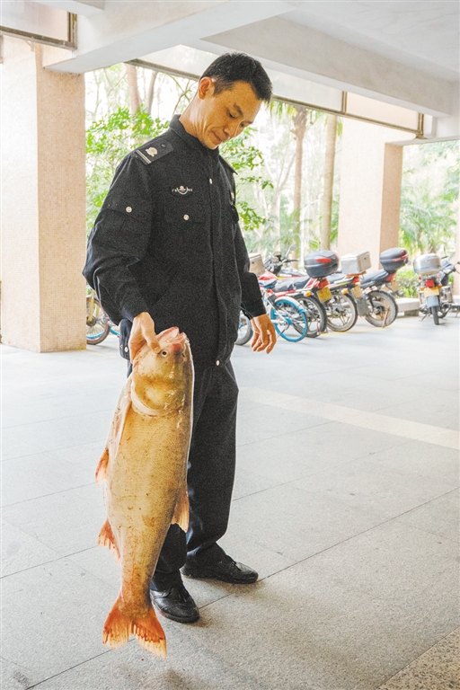 1D60FCD829D63E20156CC4EAC80_8B179A7E_4E675 1D60FCD829D63E20156CC4EAC80_8B179A7E_4E675