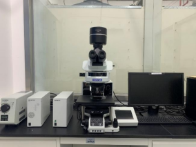 2413615B0A3DAF8149D51C53AA5_FB5699F4_3B3DD