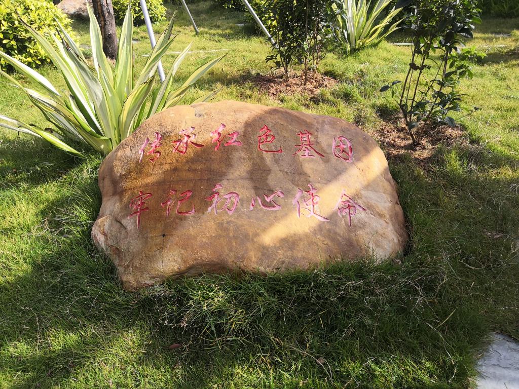 FD968FA9AEF95174A5A6E110788_09DC4C4F_3D972