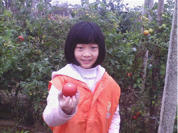 Ҽ������app����(�й�)�ٷ�������