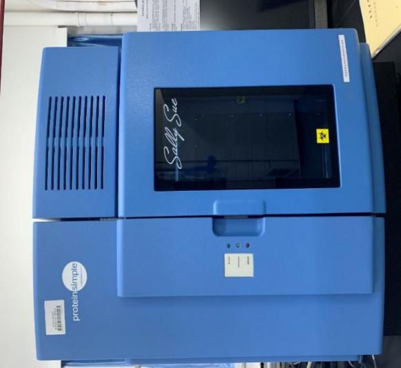 A7326A8988B4C27D87929E9B094_1495B3FB_6CF8