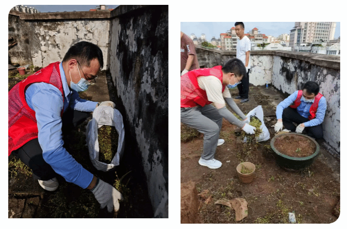 E6535B38A0EDEE7033D0D0D2E4E_82C28A33_2D013