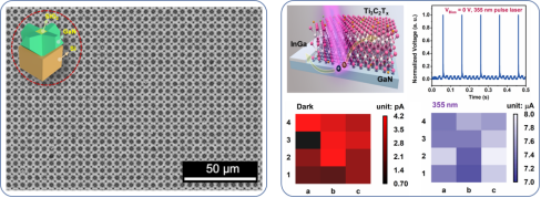 20A56071D22D1FEE44F7C4CF872_69013240_55816