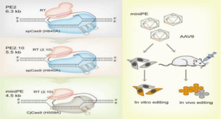 F7B2050774896EE66DF6DB460CB_482B771A_16DDA