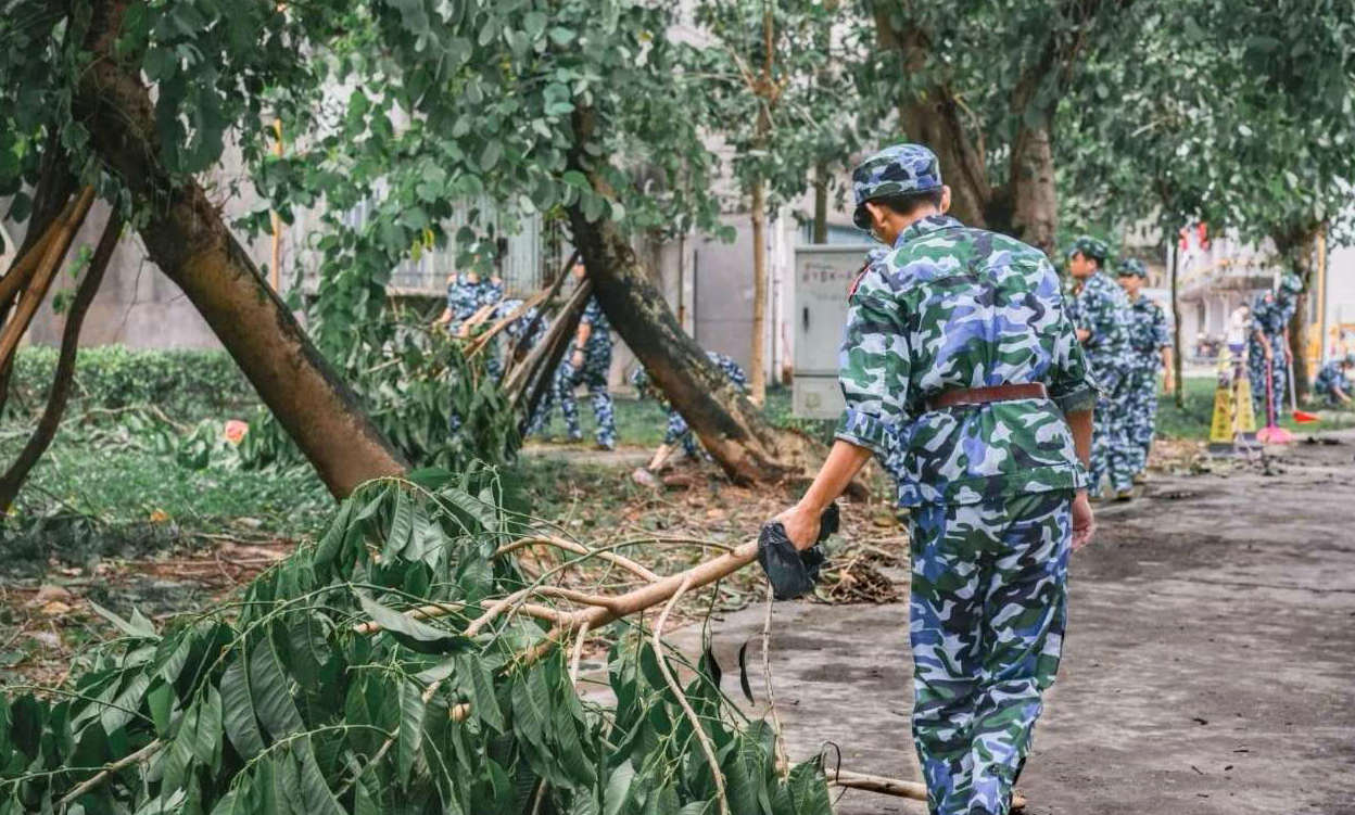 3D8CD3F084C6B3CD8ED7170010B_B3BAAE3C_288C5