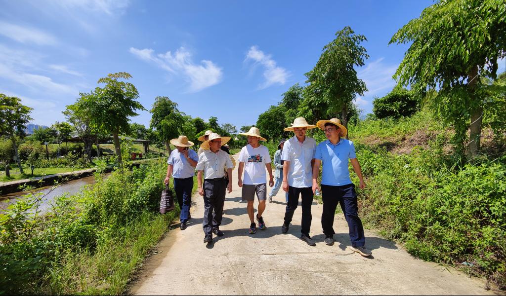 F45182672AEF544999C5E638A27_9649D0F1_28829