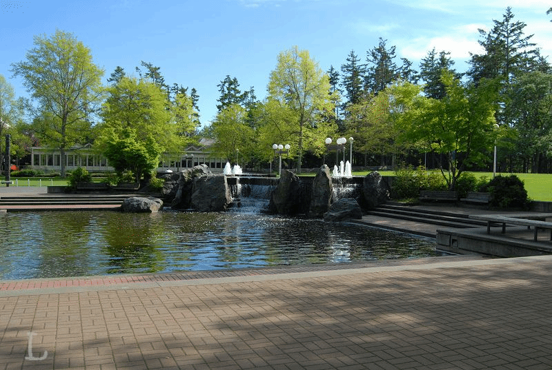 423070CDFB09363BDF037DC70F9_DC98F9FF_3E69F