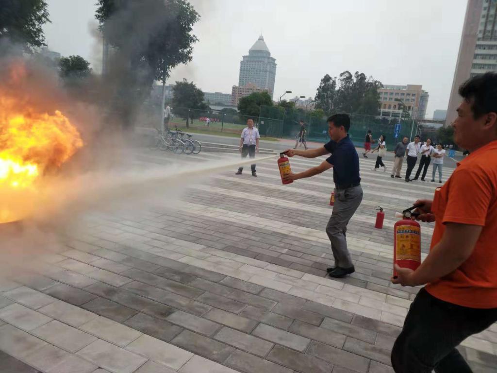 8DAEB68DFE151F3FB17BBC423D3_3F11304B_14336