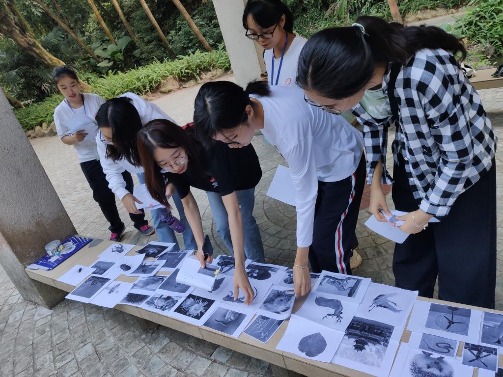 0CBED00B7CF03048960CE57DE1E_2ED74702_24049