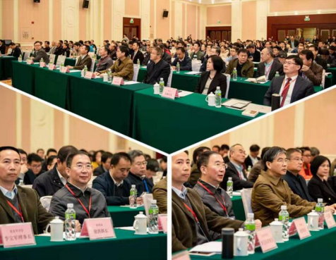 E4B38F26D931BAD323154B0C233_A9C76F42_ABEAA