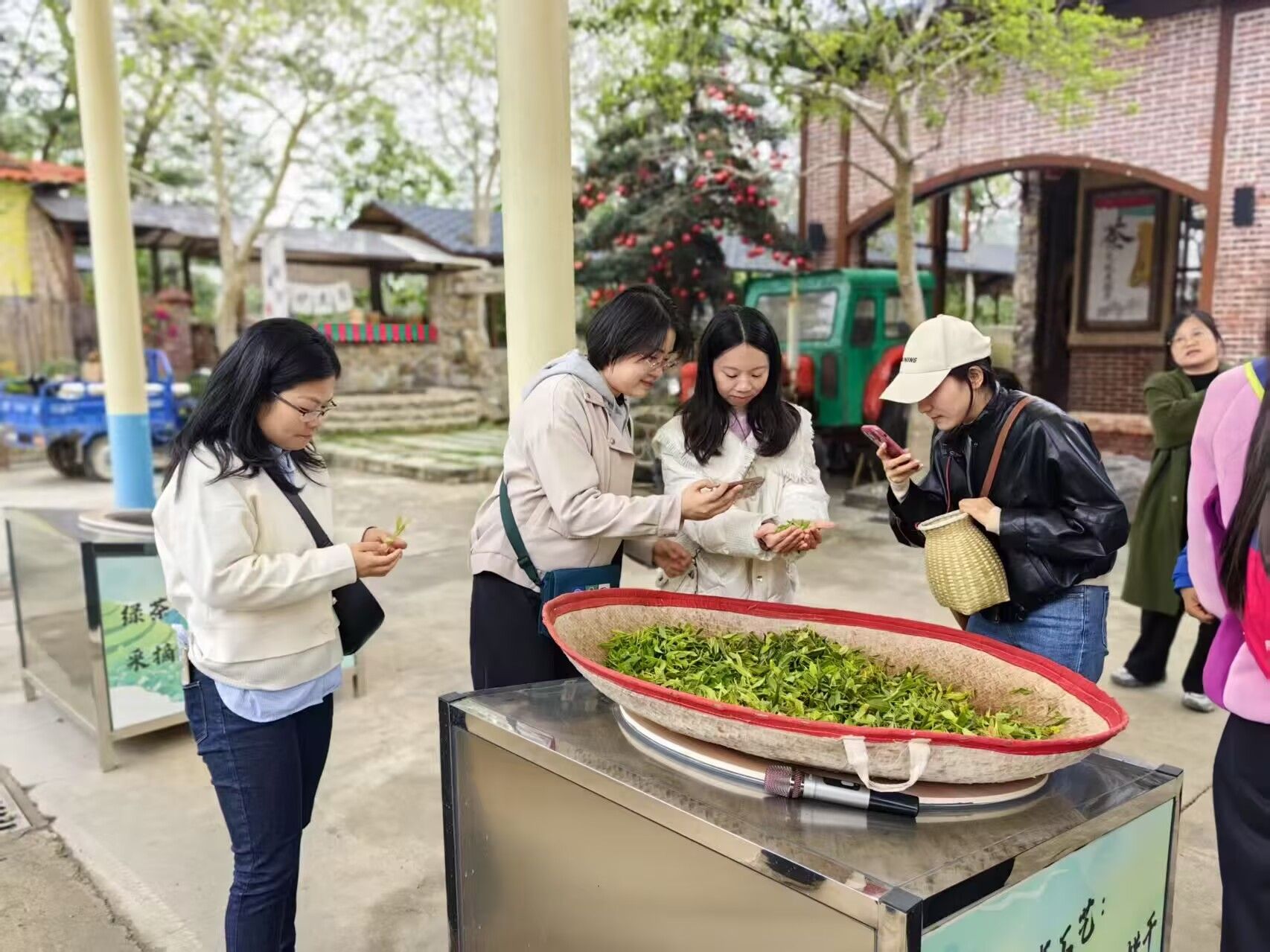 215078B7CCB56559E1DDF872591_738F491F_49C98