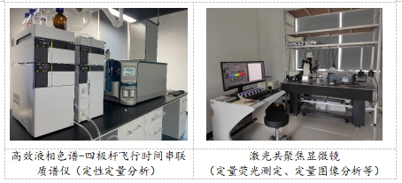 33093BD2306BABEB30925155706_62AB7DAF_132F8 33093BD2306BABEB30925155706_62AB7DAF_132F8