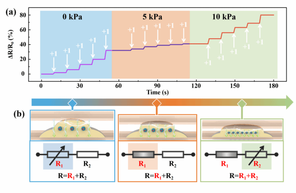 D38B41211DBAECD0F00CFED2605_DB97D25E_5EFF