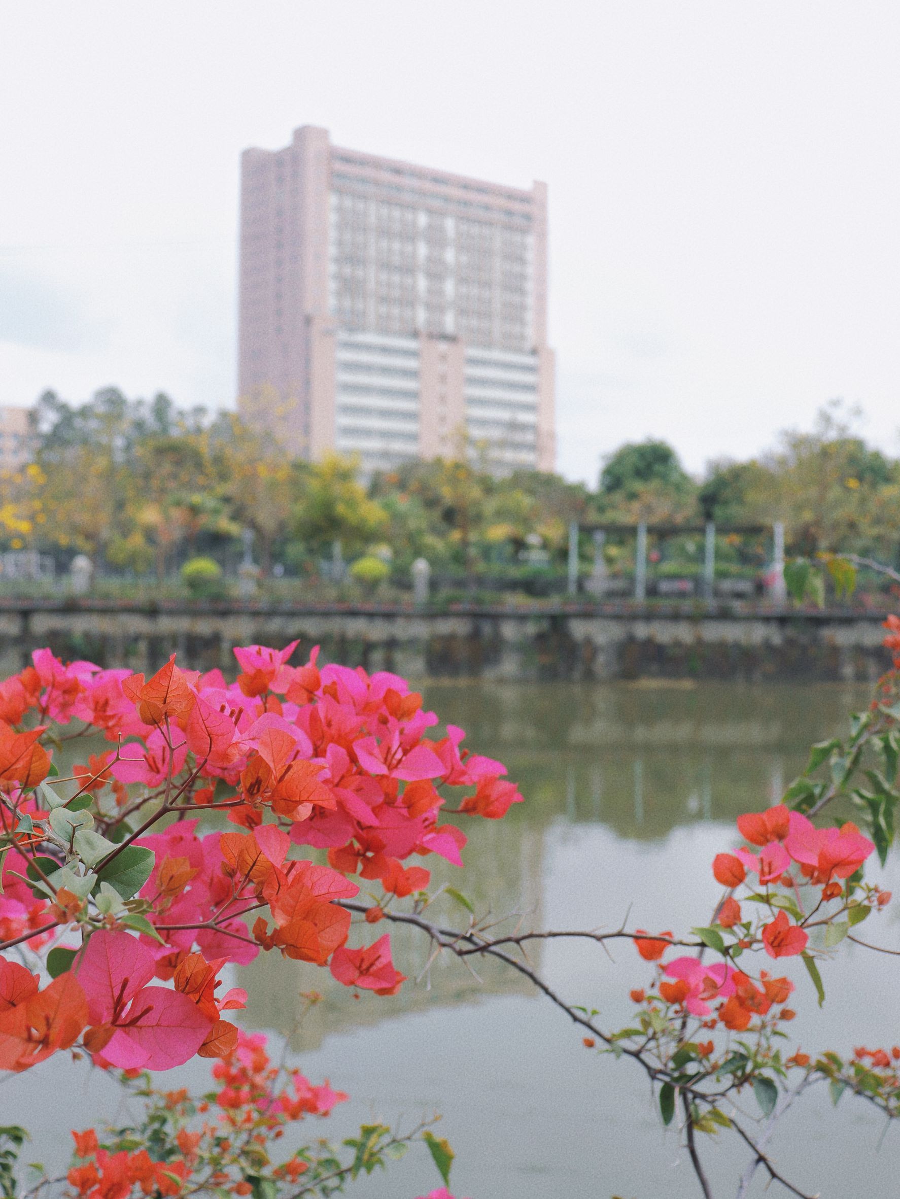 Ҽ������app����(�й�)�ٷ�������