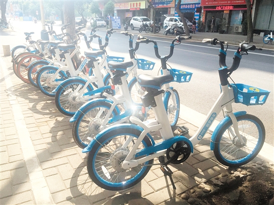 19C5BDF52624DEB8B7B41C8F842_2ACCE17D_3BC48.jpg?e=