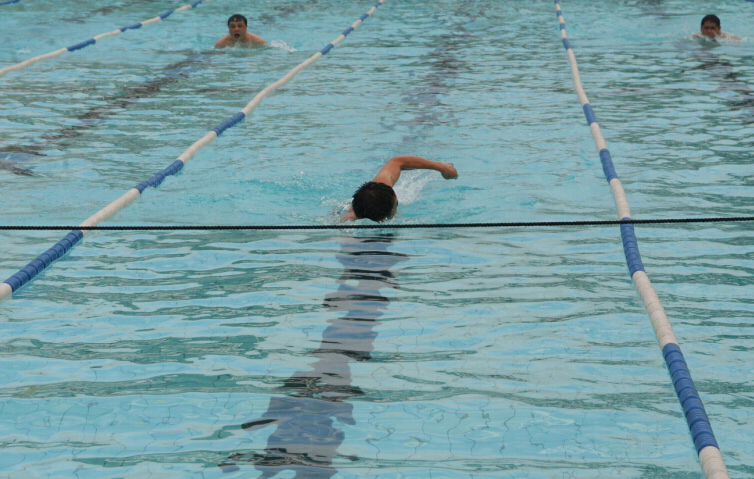 Ҽ������app����(�й�)�ٷ�������