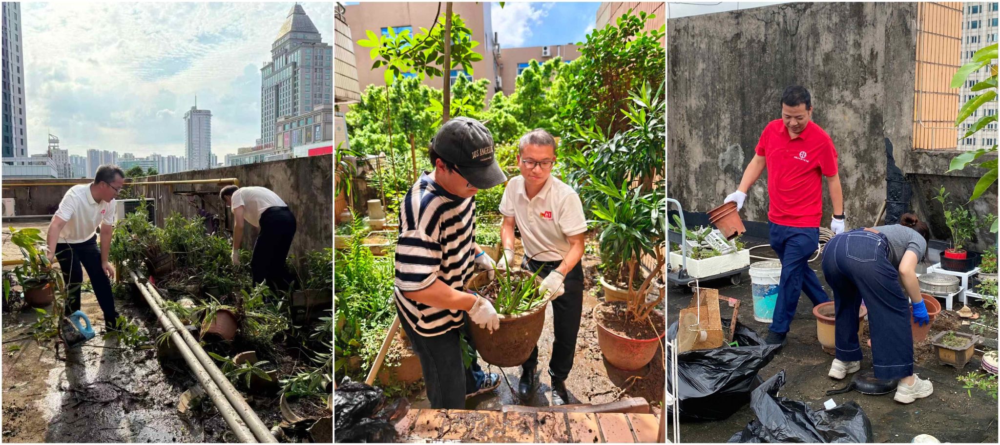 26CAC6DBAC500AFEE712FCF9916_73233B1F_75807