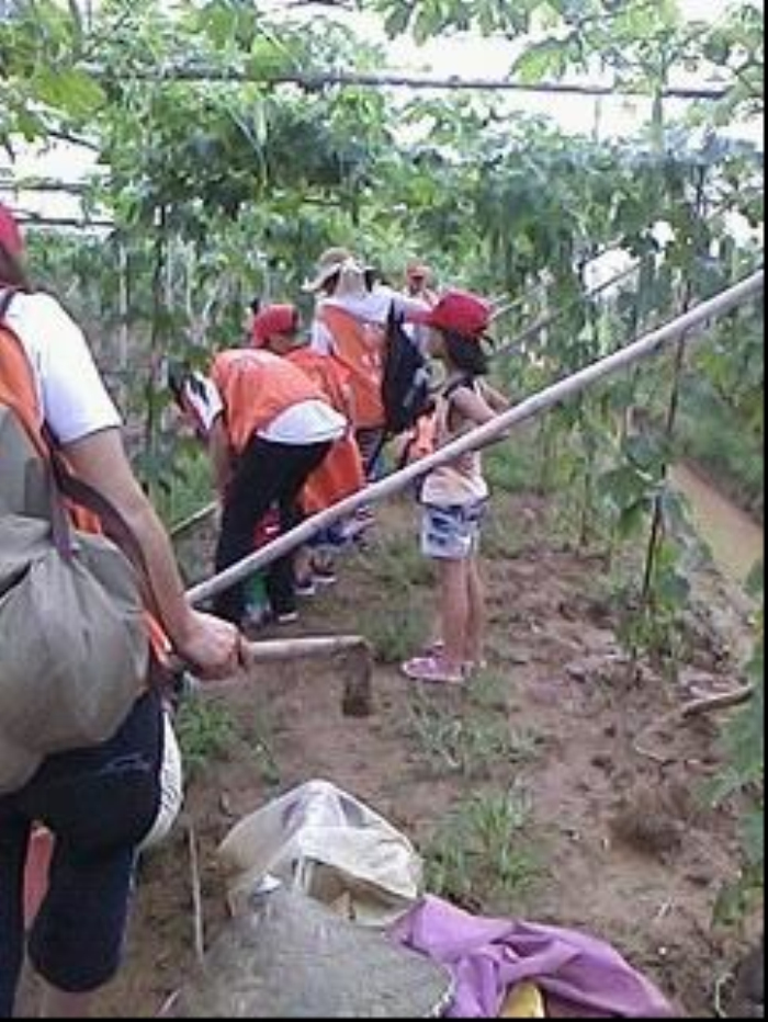 Ҽ������app����(�й�)�ٷ�������