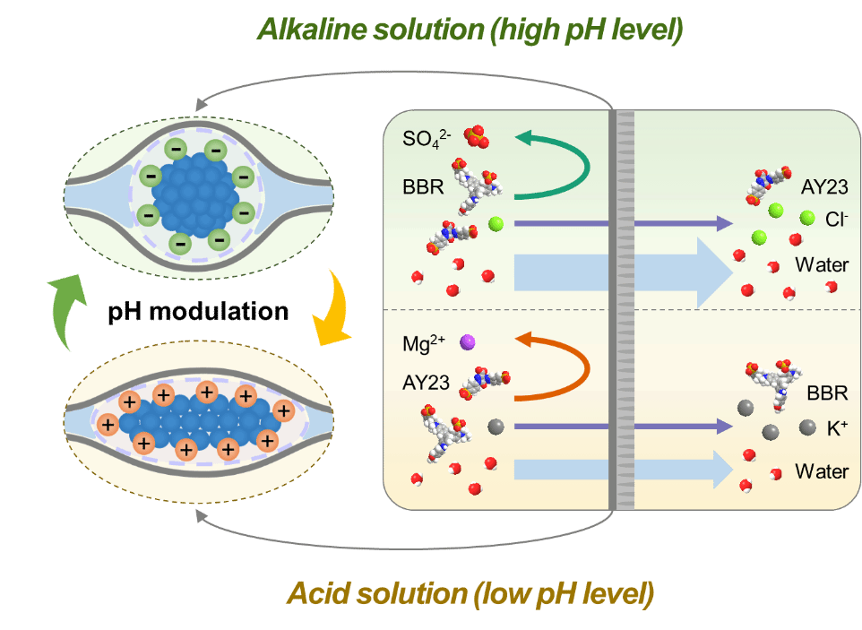 603D6E5B564879E4D29BE8D55C3_E7C1A3E0_EBBA