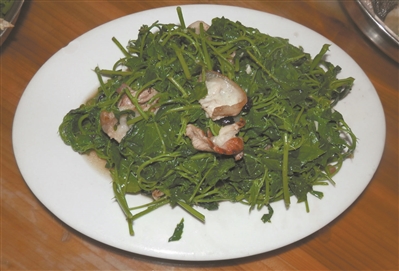 8CFD22809A467ADFBADE250A1CF_64290212_16B1E