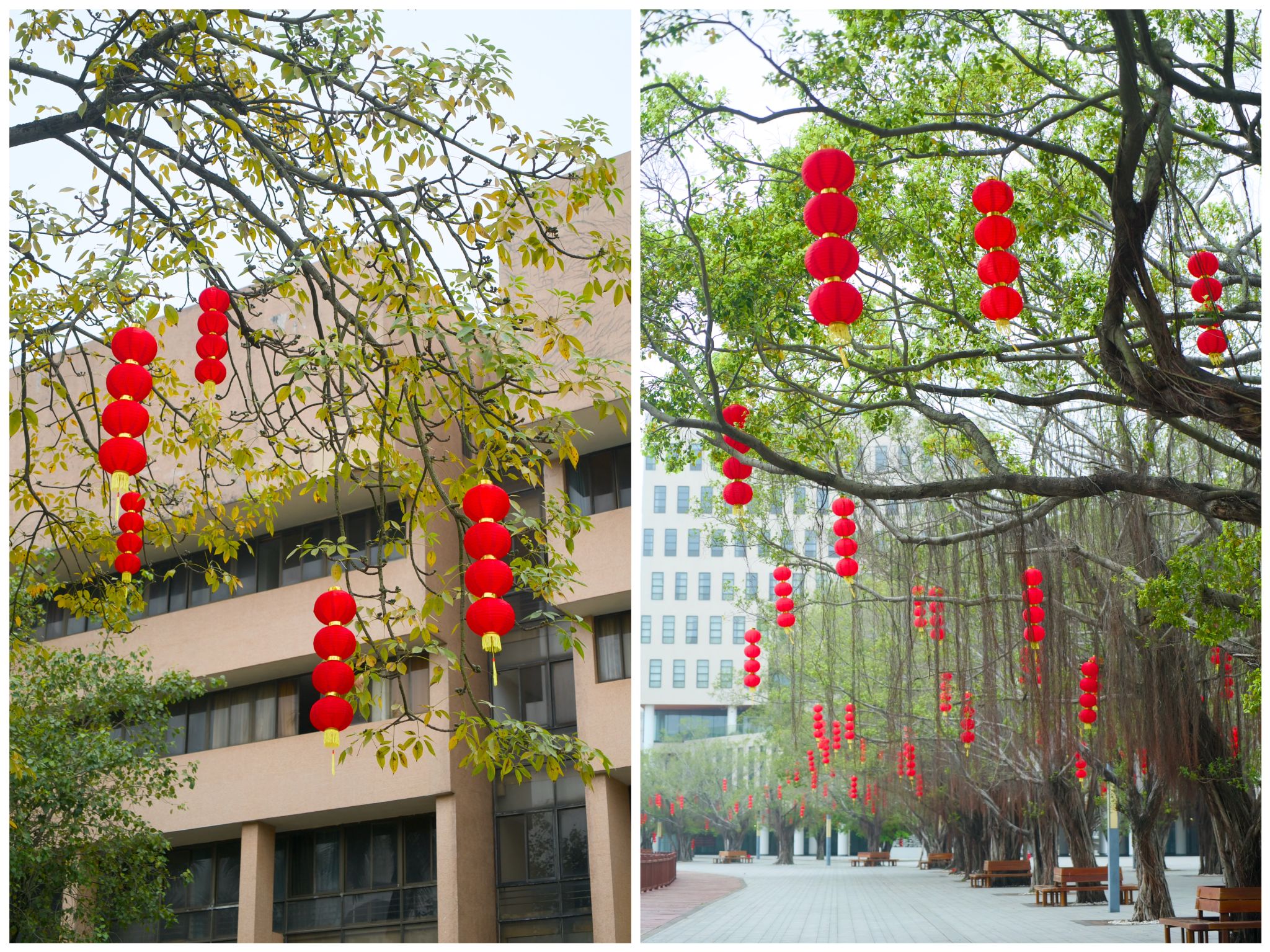 AD9B5F166E2C8D68EB385609CE5_DD6867DD_C6FF5