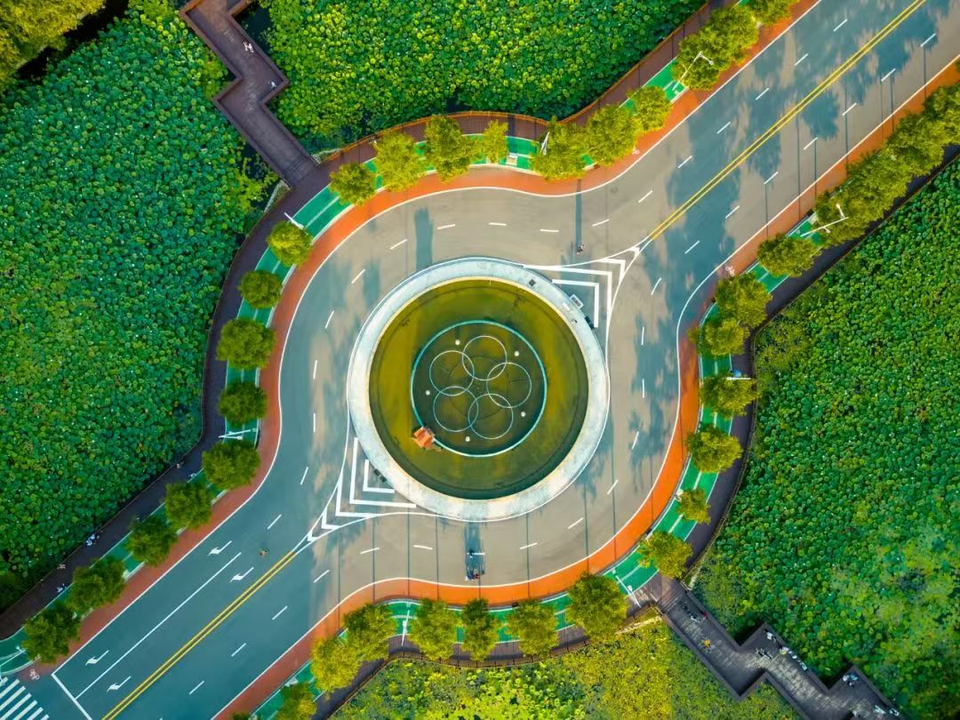 Ҽ������app����(�й�)�ٷ�������