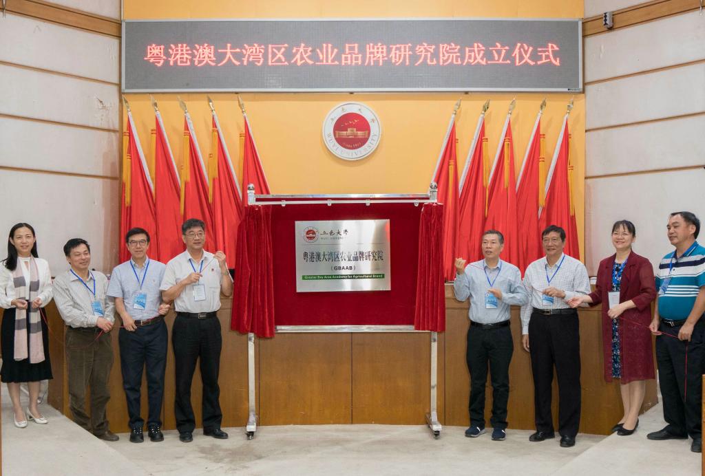 48C8B83253123C94FDE137BDD6D_1D4AB87D_17908