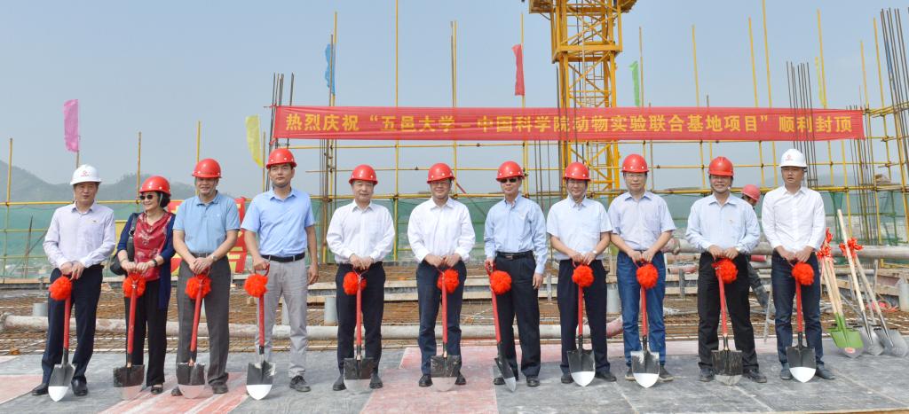 62DD2E86871D7430ED3405A2486_BABD0C28_15AD9