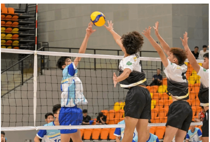 43BE7F63BB3857237DB7A39C182_54C37FA5_28B68 43BE7F63BB3857237DB7A39C182_54C37FA5_28B68