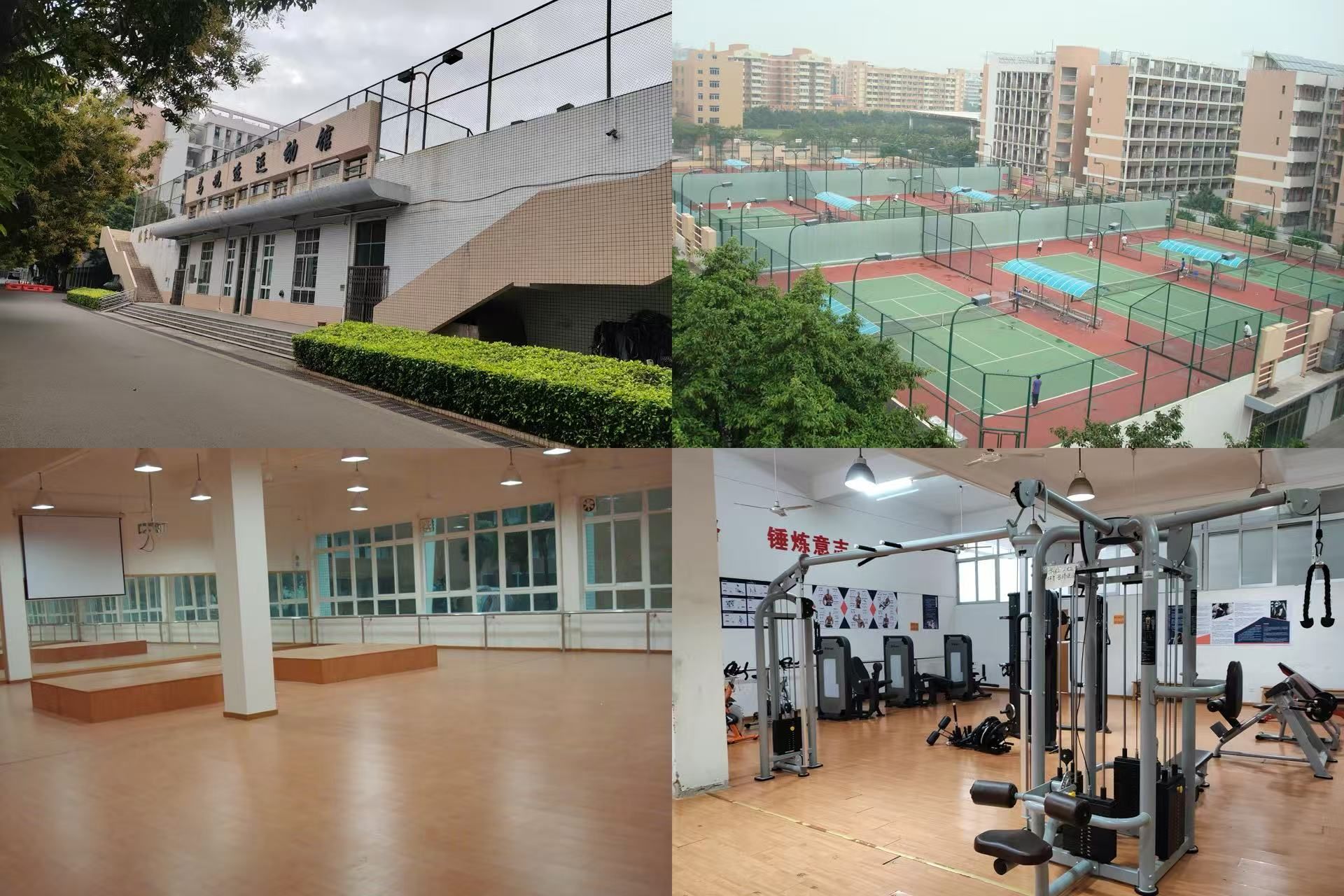 Ò¼ºÅÓéÀÖapp¹ÙÍø(Öйú)¹Ù·½°æÏÂÔØ