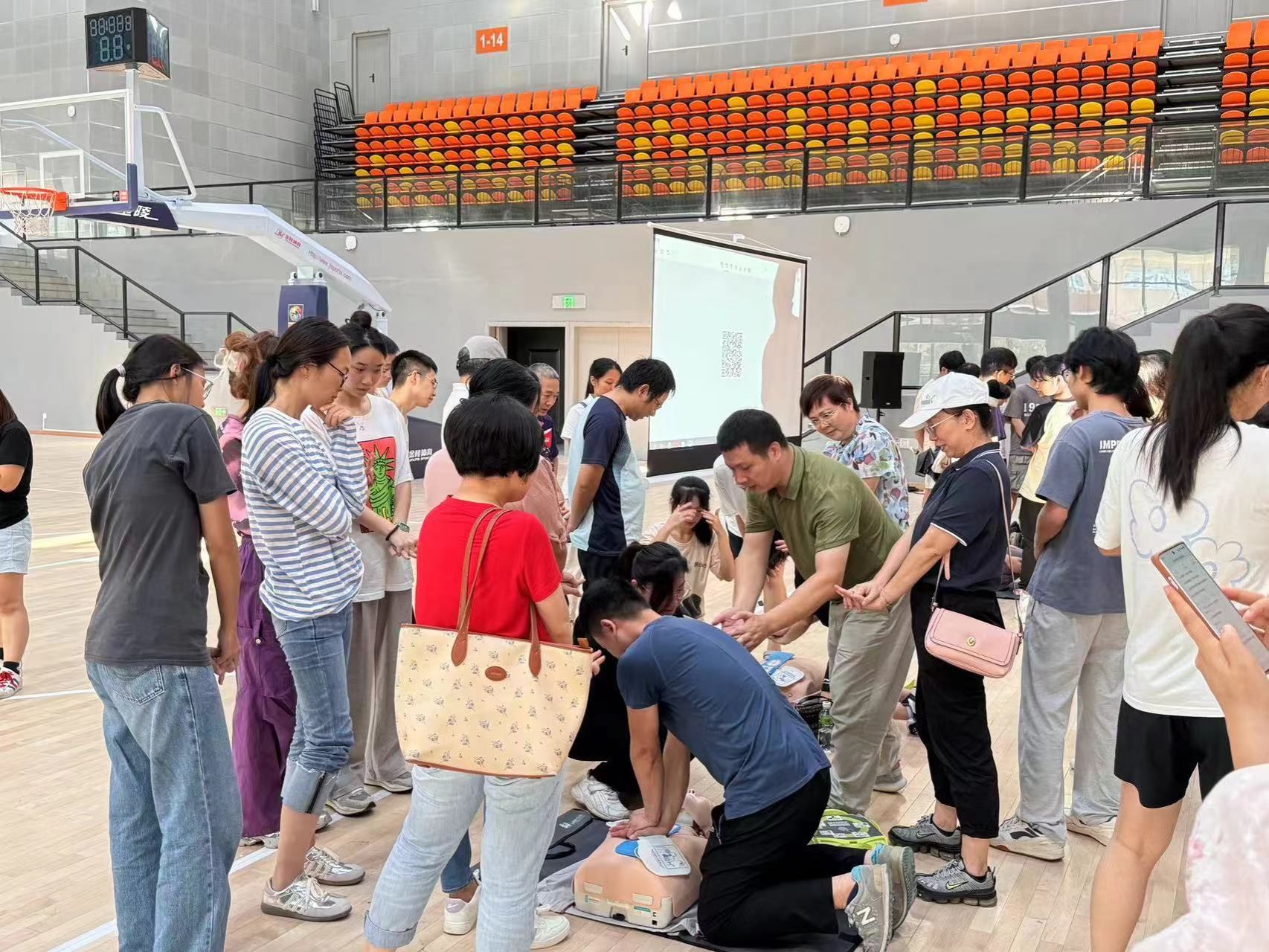 7C33B62054E978C85F33BDD3486_2B2B1E90_602B7